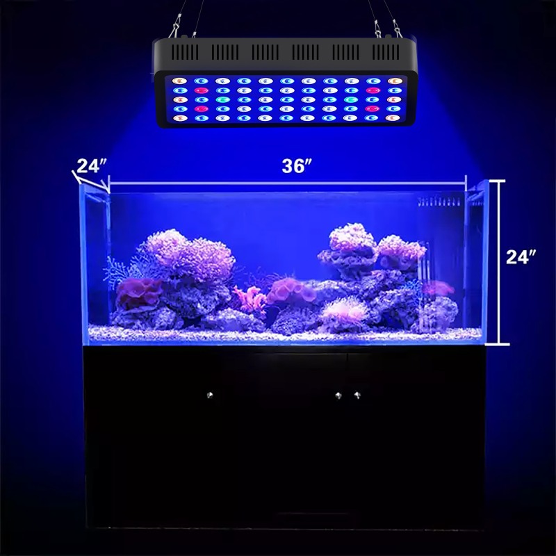 Marine Aquarium Timing - Lámpara de Acuario de 165W con
