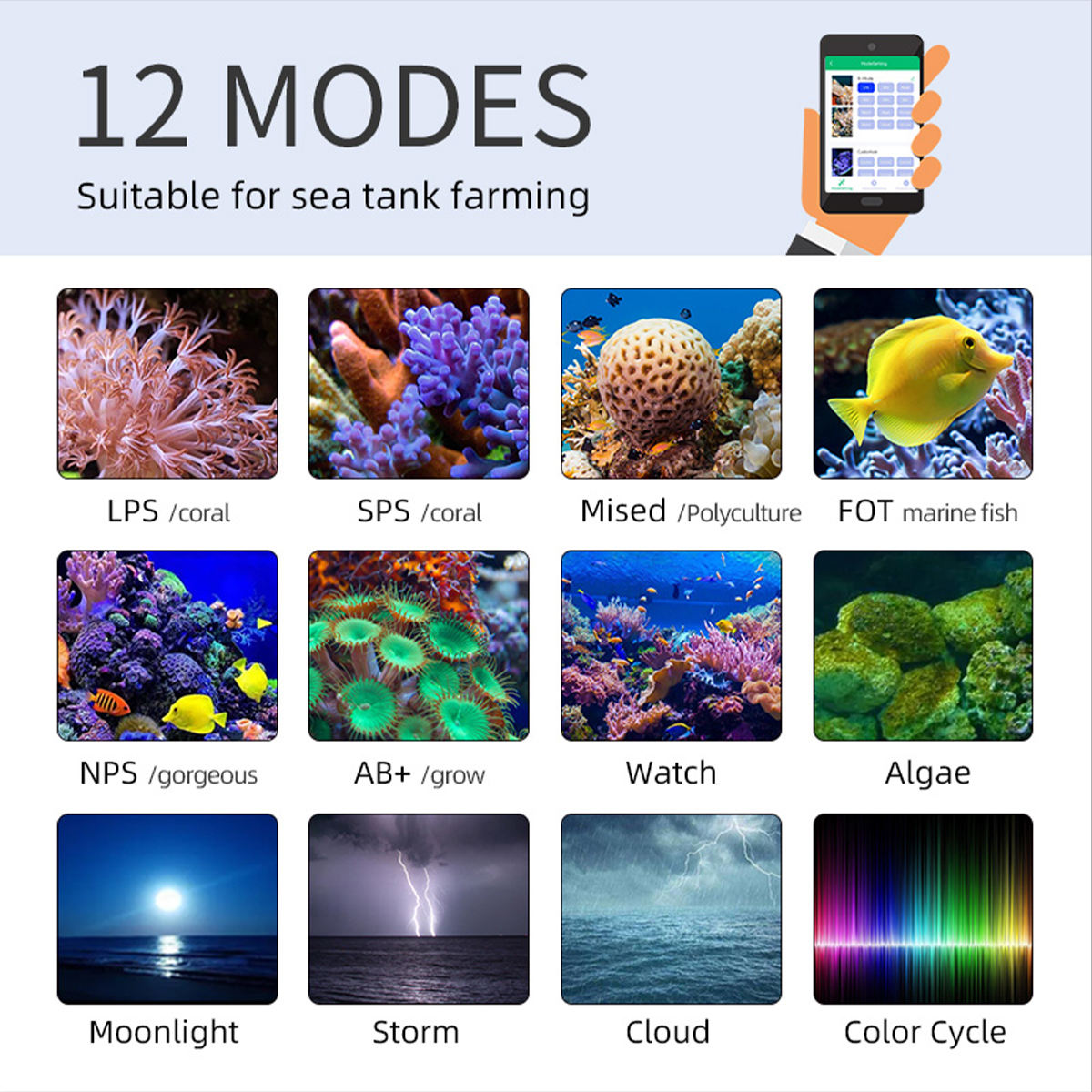 Lámpara LED T95 Sea de 50W de  - Marine Aquarium Timing reseña y precio