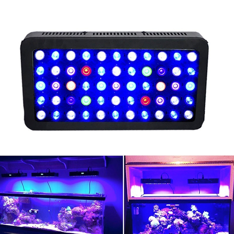 Lámpara de Acuario de 165W con - Marine Aquarium Timing reseña y precio