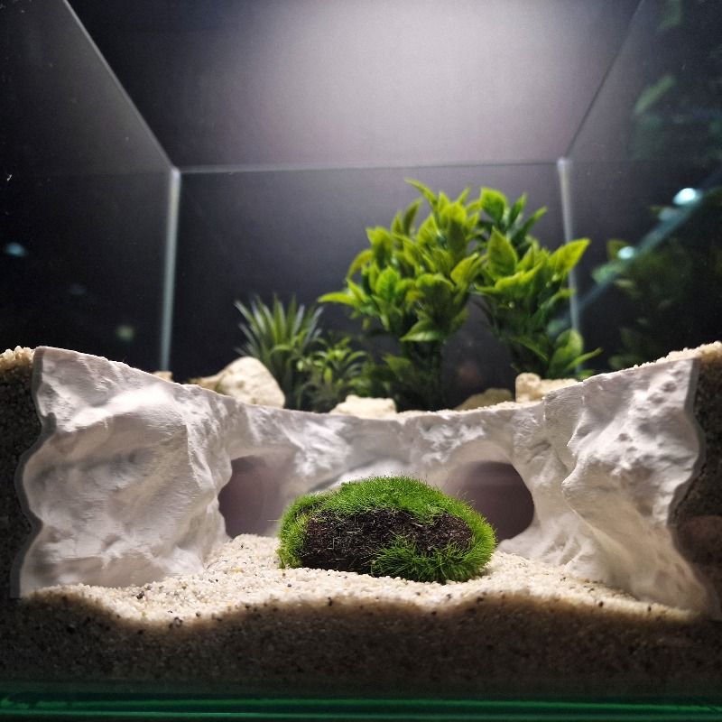 Túnel Escondite 2 en 1 para Ag - Aquarium Marineland reseña y precio