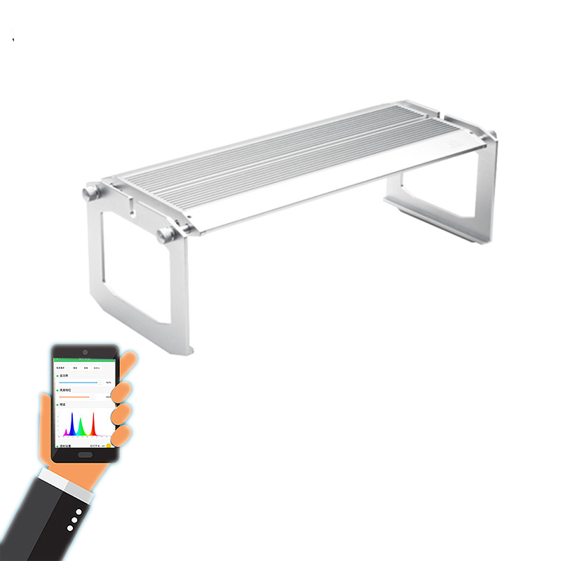 WEEK AQUA Luz LED Vívida para  - Marine Aquarium Reef reseña y precio