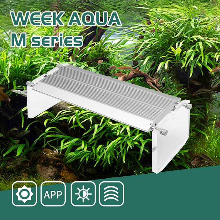 WEEK AQUA Luz LED Vívida para  - Marine Aquarium Reef reseña y precio