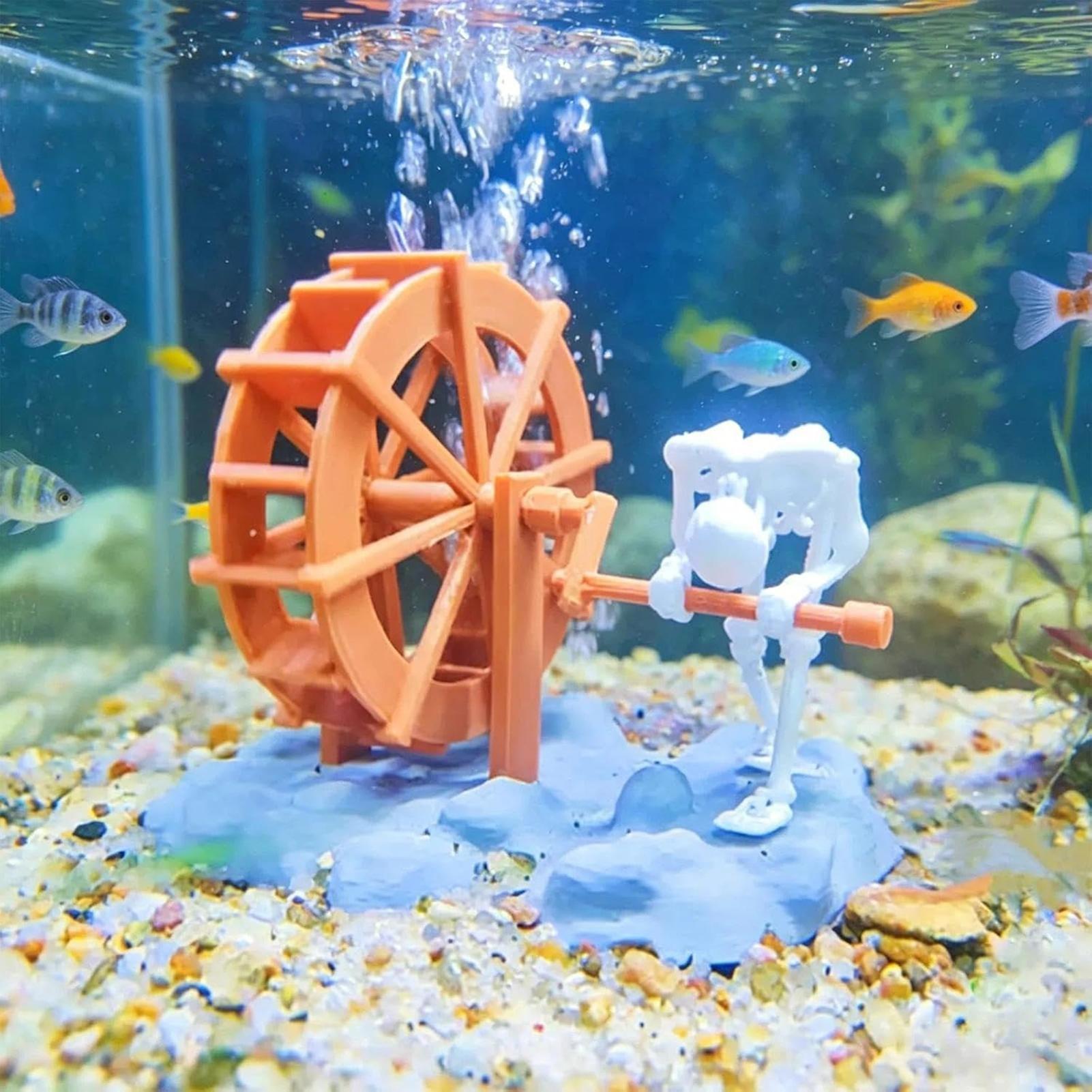 Decoración Creativa de Esquele - Aquarium Marineland reseña y precio