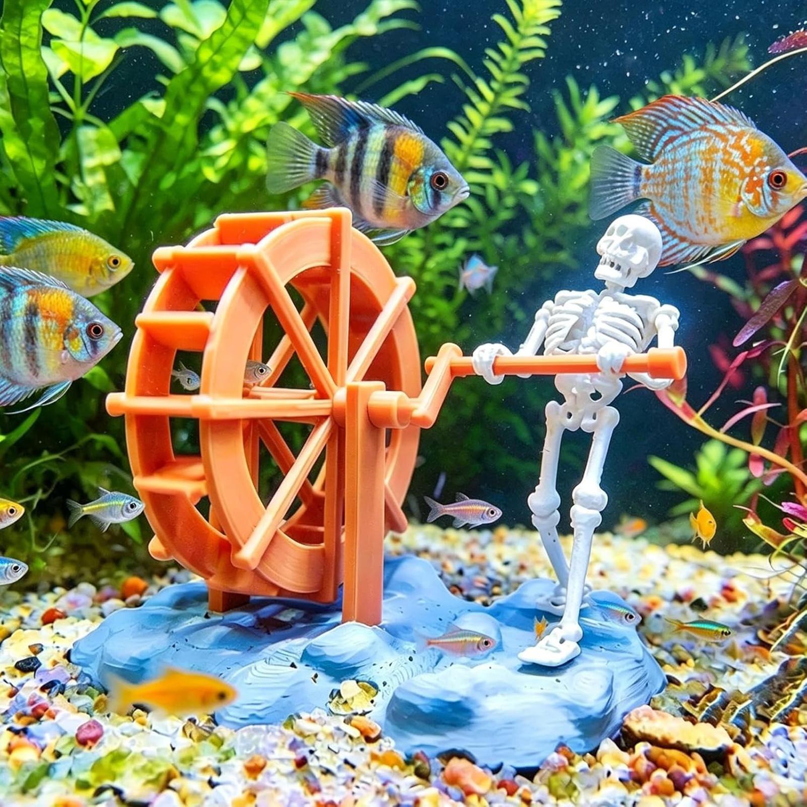 Decoración Creativa de Esquele - Aquarium Marineland reseña y precio